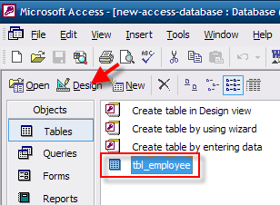 Add Telephone Mask to Access Table