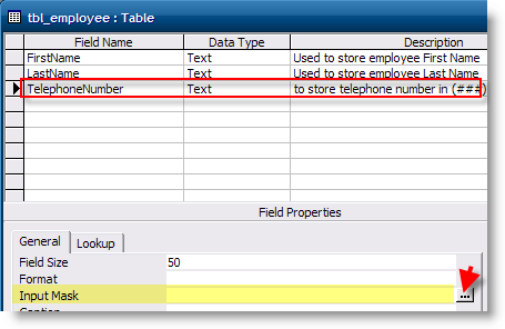 Add Telephone Mask to Access Table