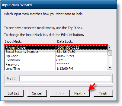 Add Telephone Mask to Access Table