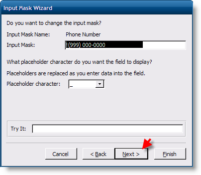 Add Telephone Mask to Access Table