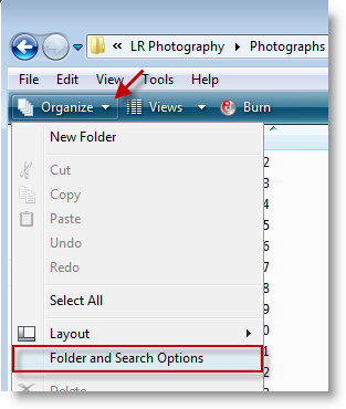 Display File Extensions in Vista