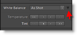 Lightroom Quick Develop