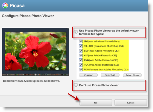 Picasa Photo Viewer