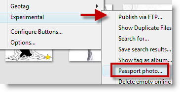 Picasa 3 Tips