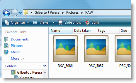 Raw Images in Vista