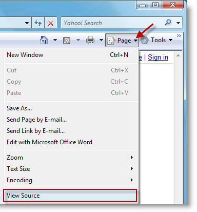 Internet Explorer Source Code View